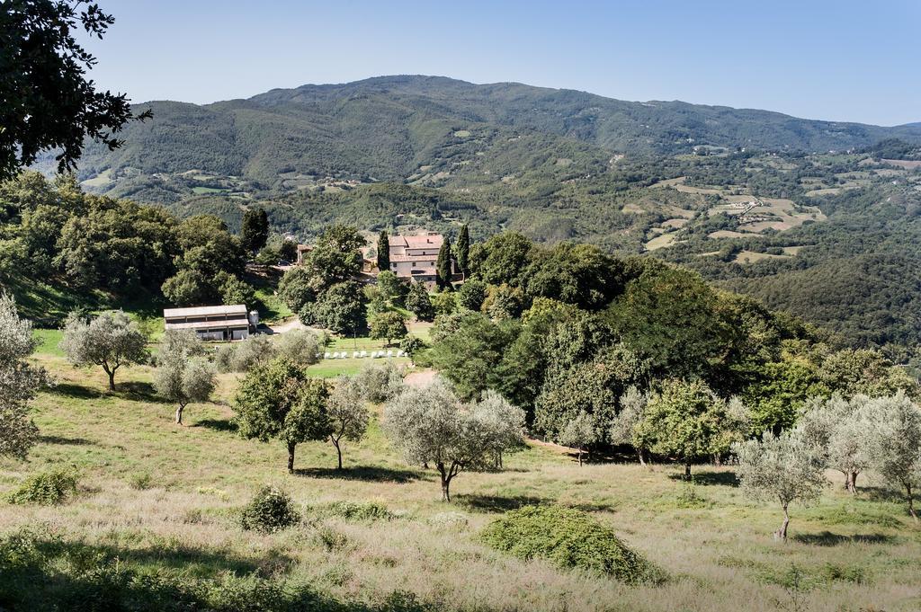 Agriturismo Di Baroni Enzo Dicomano Zewnętrze zdjęcie